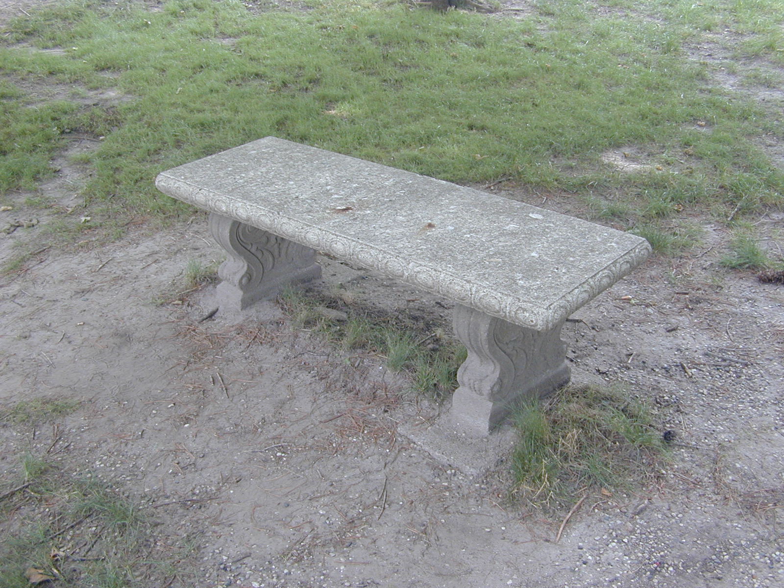 closeup photo